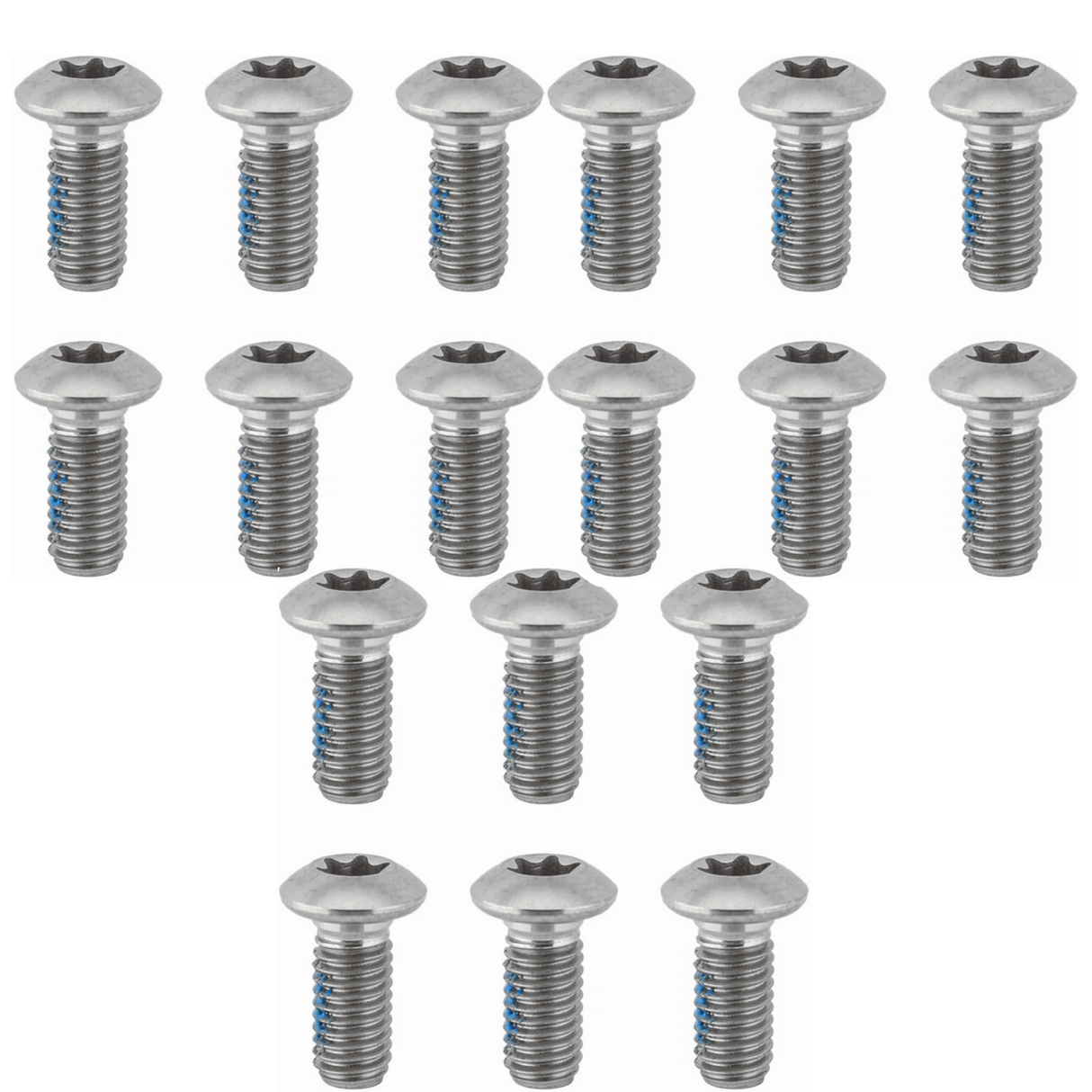 Ashima Level Rotor Torx Bolts - T25 - Sportandleisure.com