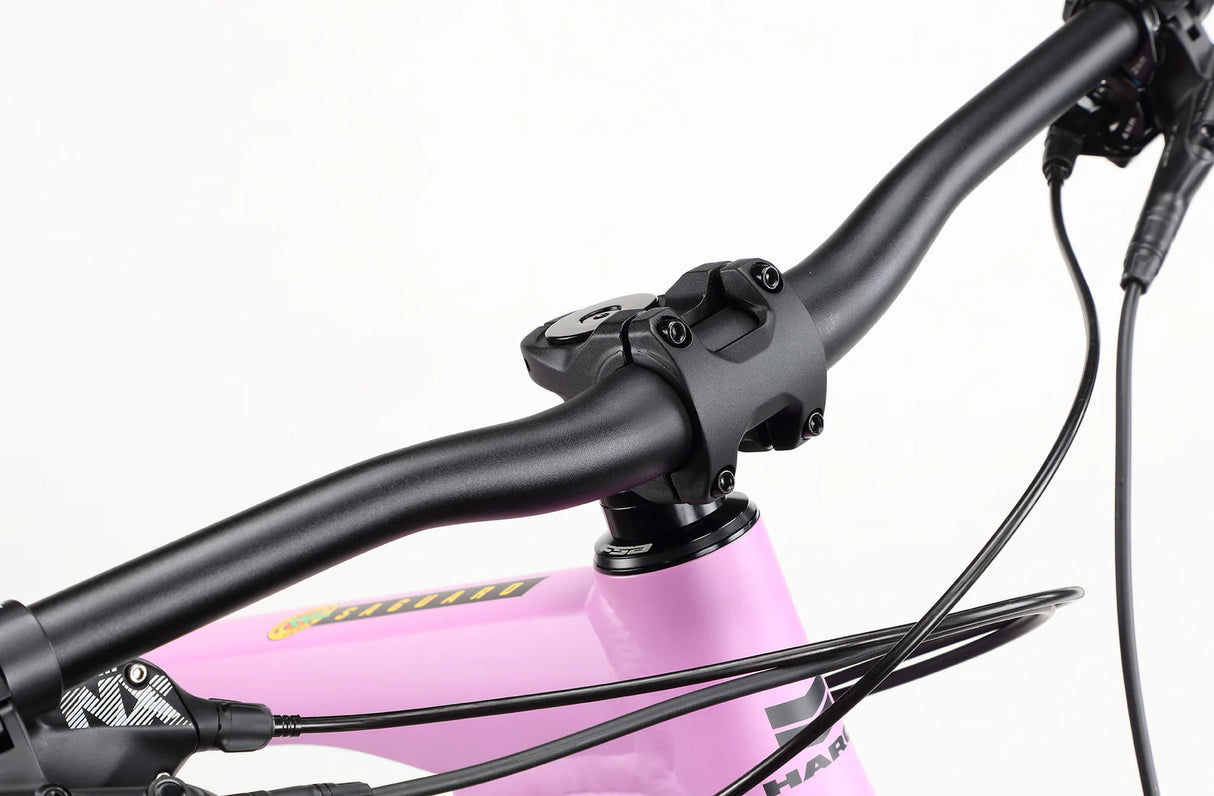 Haro Saguaro 2 Hartail MTB - SRAM NX Eagle - Sport & Leisure