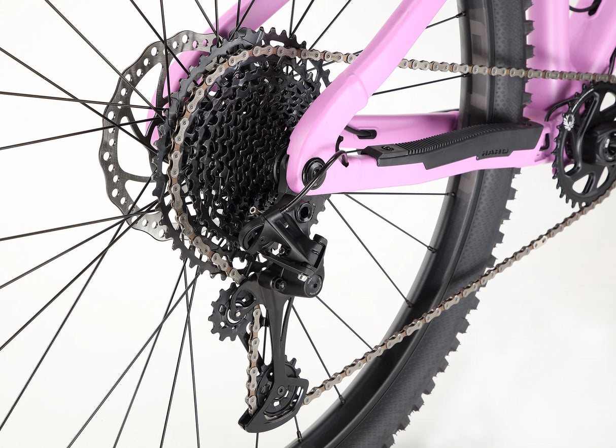 Haro Saguaro 2 Hartail MTB - SRAM NX Eagle - Sport & Leisure