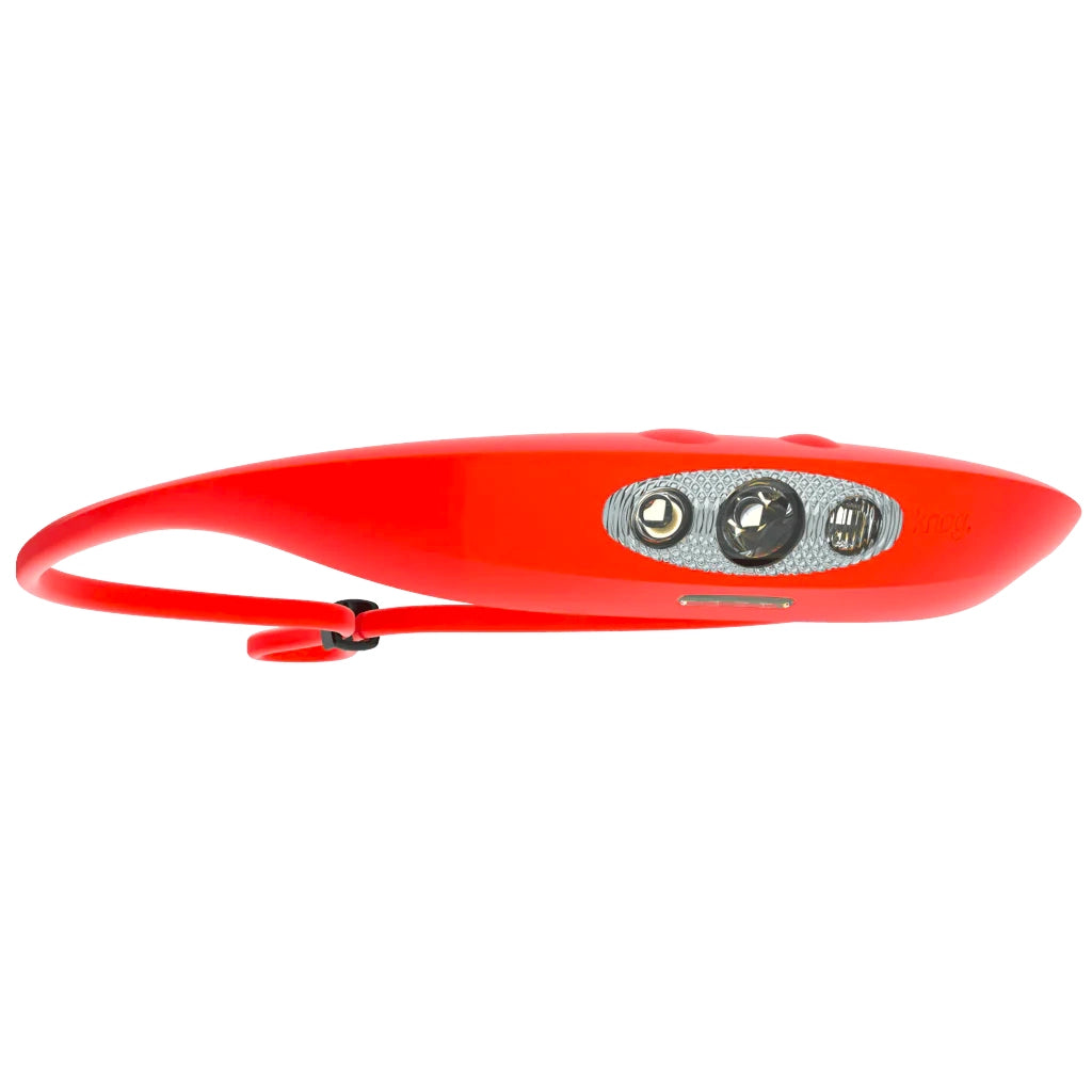 Knog Bandicoot 250 Lightweight Explorer Headlamp - Sportandleisure.com