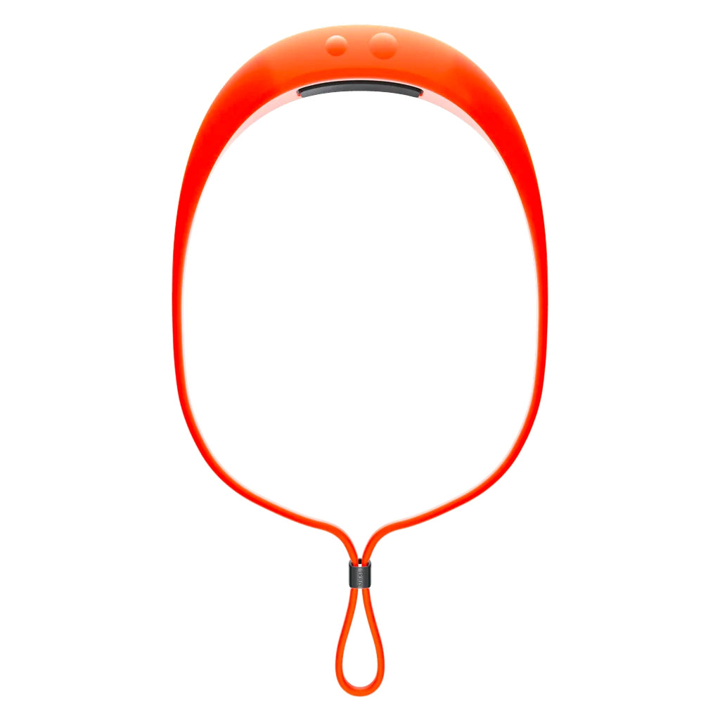 Knog Bandicoot 250 Lightweight Explorer Headlamp - Sportandleisure.com