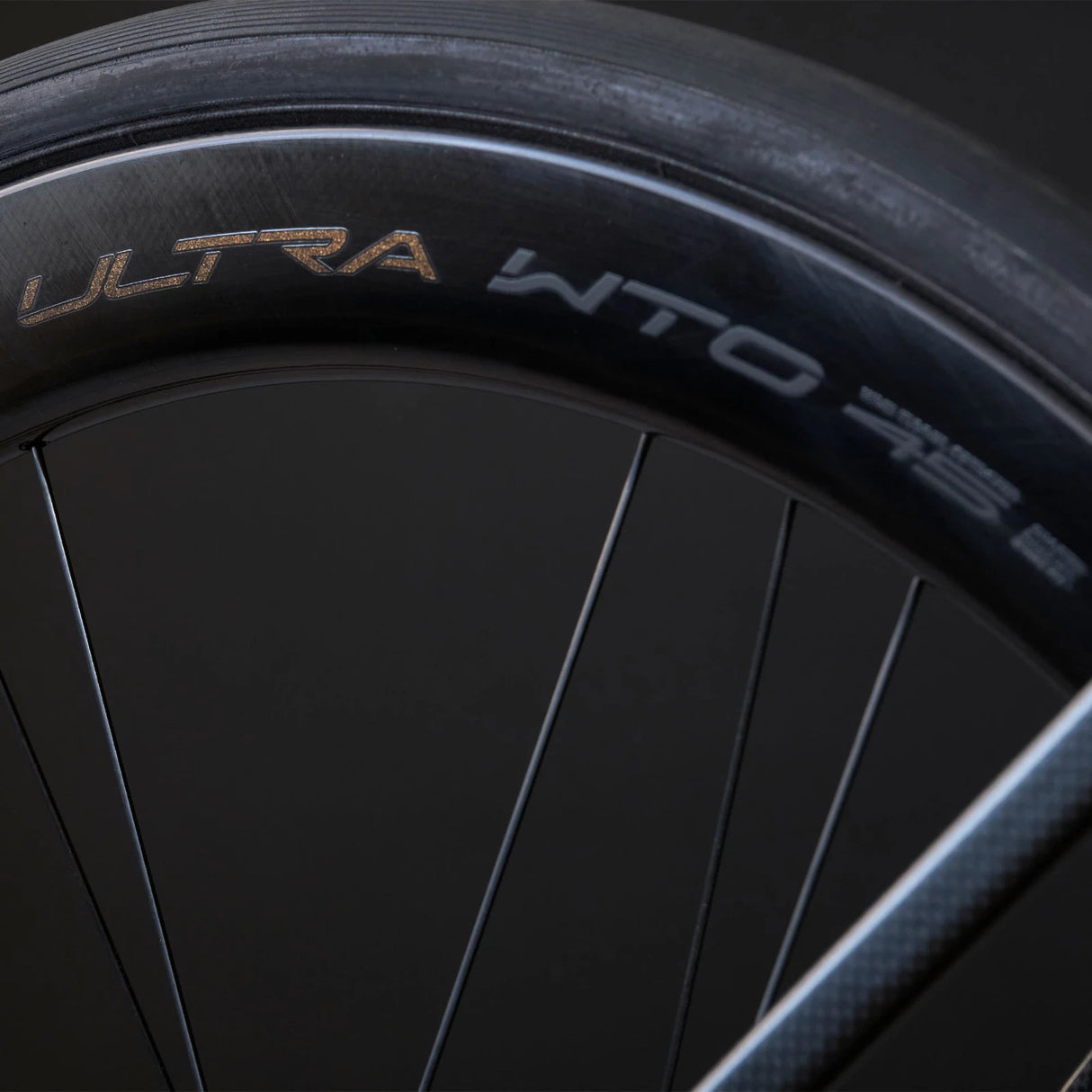 Campagnolo Bora Ultra WTO 45 Disc Brake Wheelset - 700c - Campagnolo Freehub
