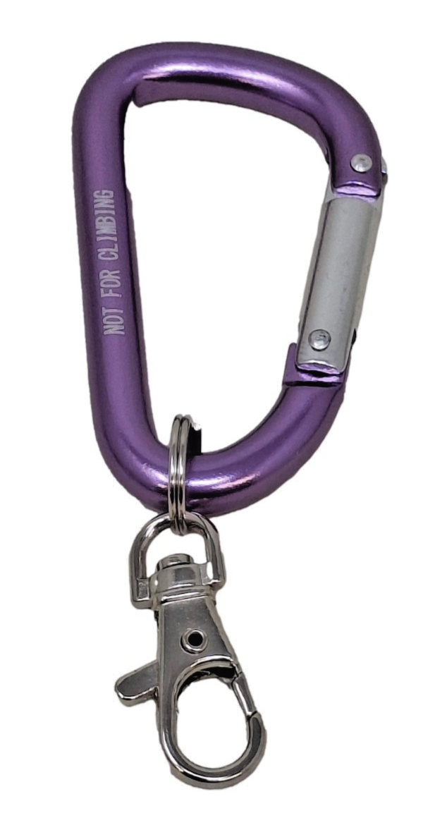 Camp Mini Carabiner Keyring - Choose Colour / Size