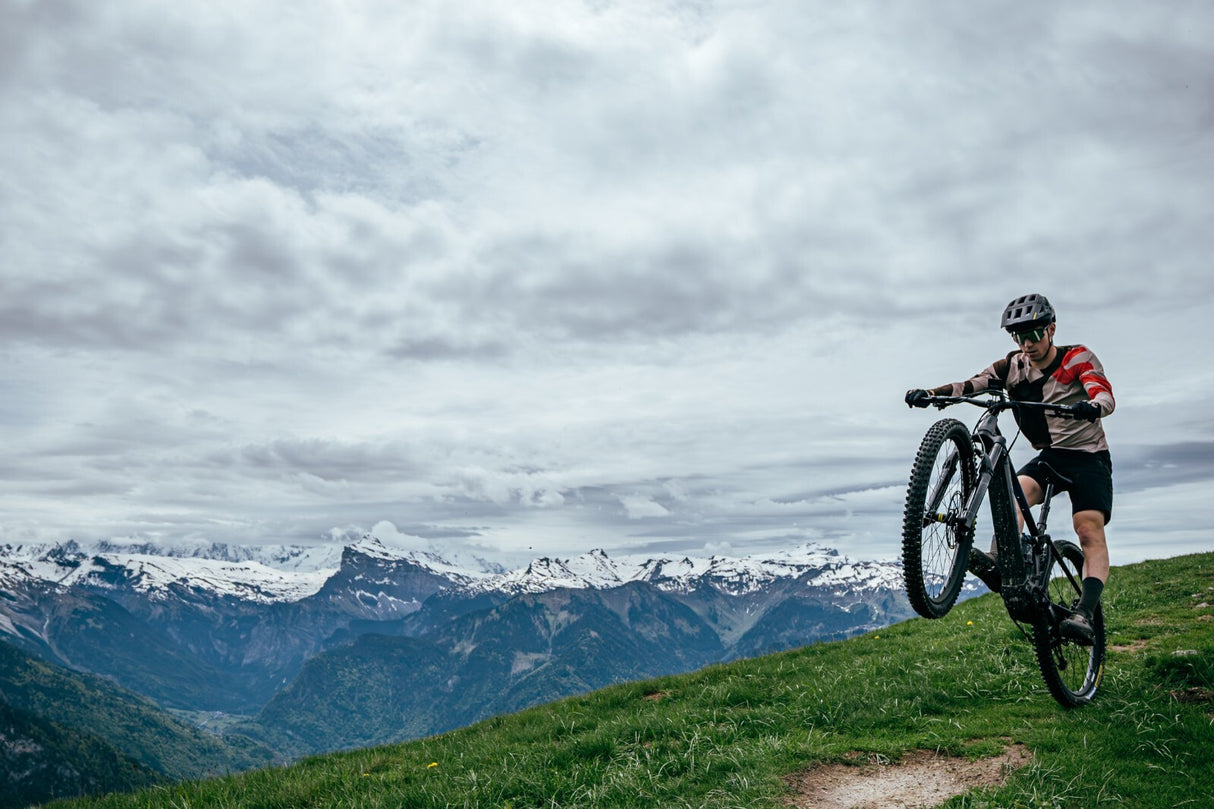 Mavic E-Deemax Limited Edition Audi E-MTB Mullet Wheel Set
