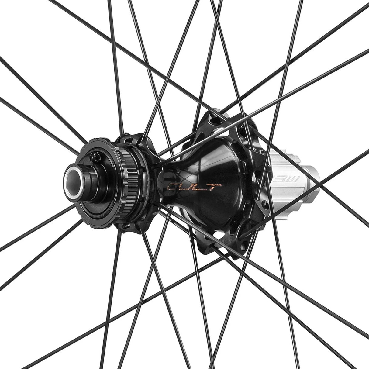 Campagnolo Bora Ultra WTO 45 Disc Brake Wheelset - 700c - Campagnolo Freehub