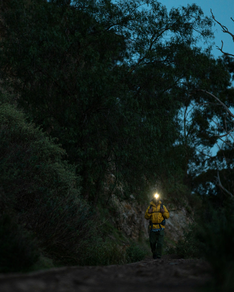Knog Bandicoot 250 Lightweight Explorer Headlamp - Sportandleisure.com