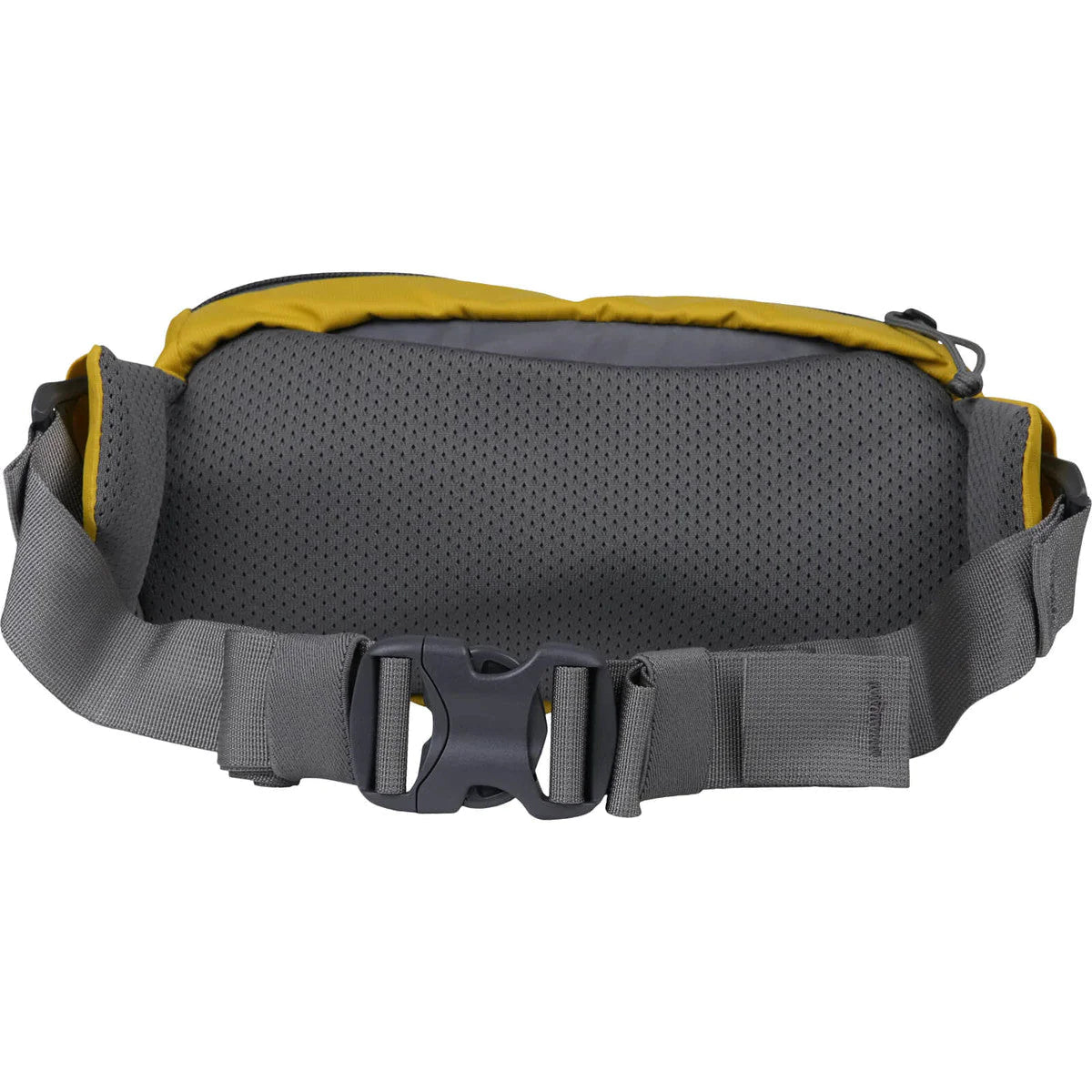Mystery Ranch Unisex Forager Hip Pack - One Size - Sportandleisure.com