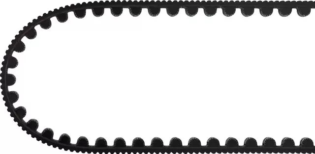 Gates Carbon Drive CDX Carbon Drive Belt - Black - Sportandleisure.com