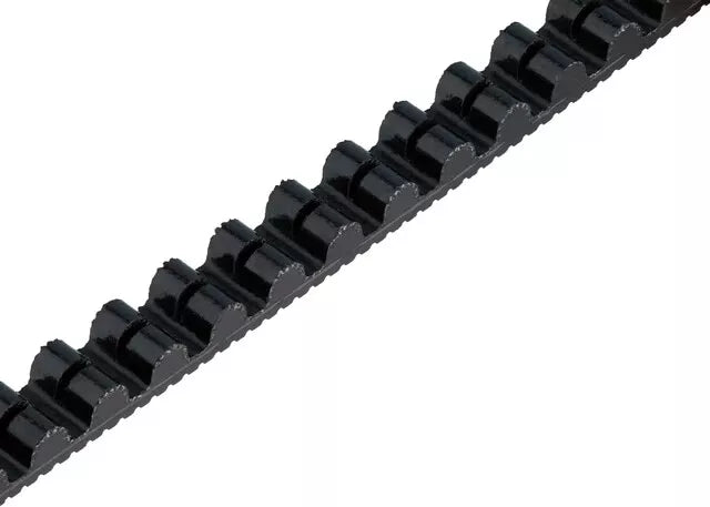 Gates Carbon Drive CDX Carbon Drive Belt - Black - Sportandleisure.com