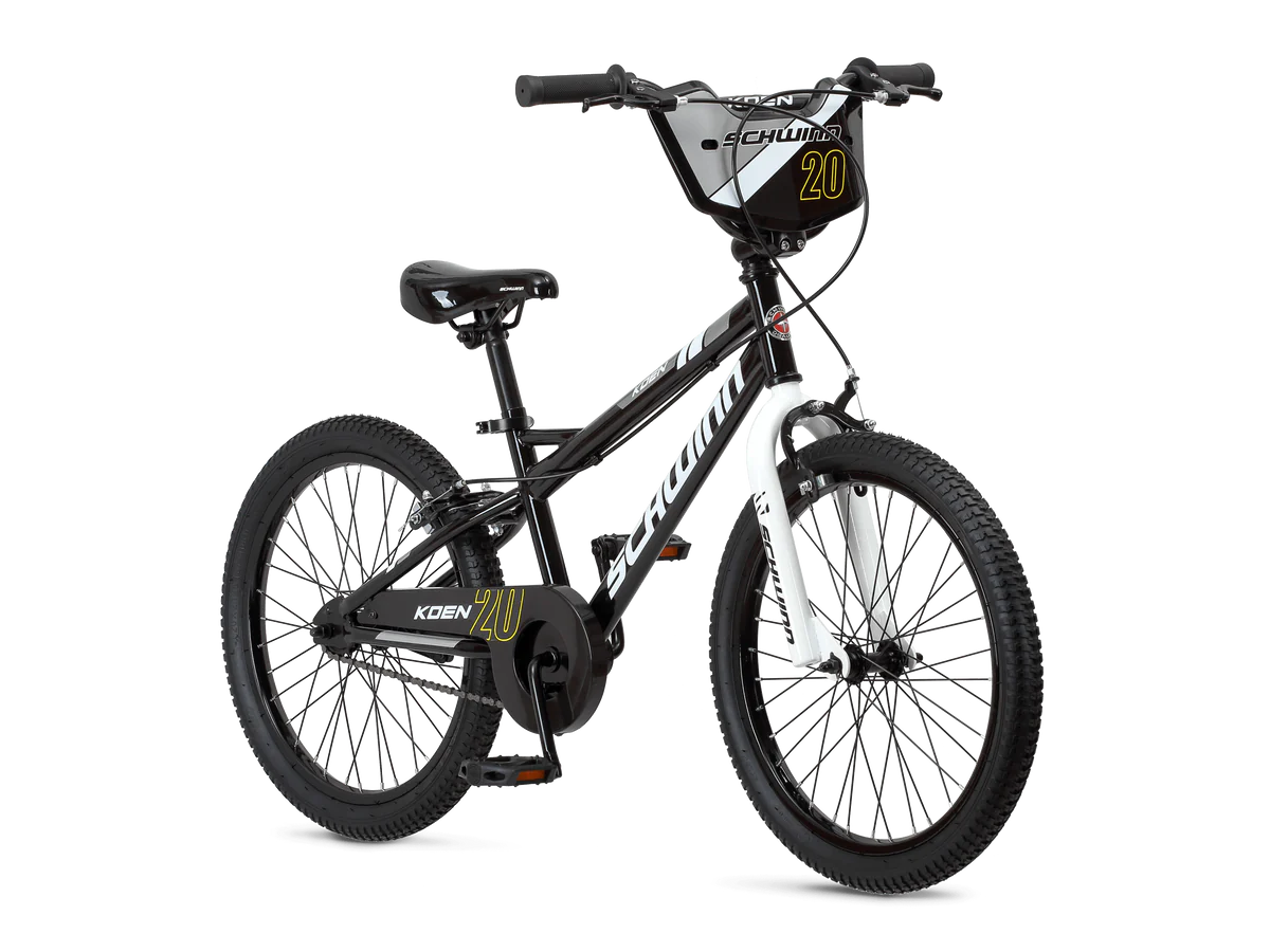 schwinn mountain bike 20 inch