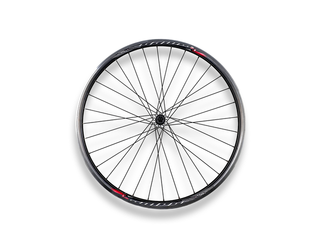 Shimano Tiagra RS400 700c Road Rear Wheel - Sportandleisure.com
