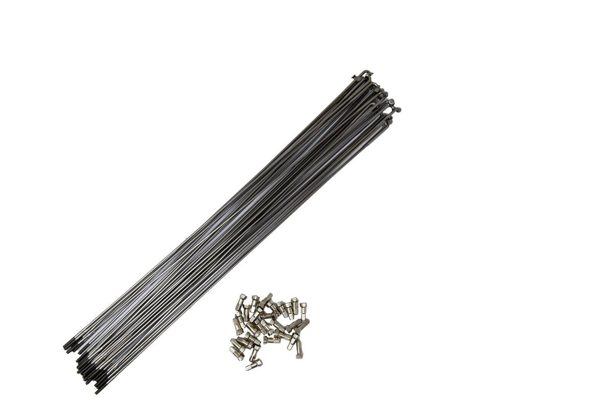 Campagnolo KIT-14VE Spoke Kit For Rear Wheel - Sportandleisure.com