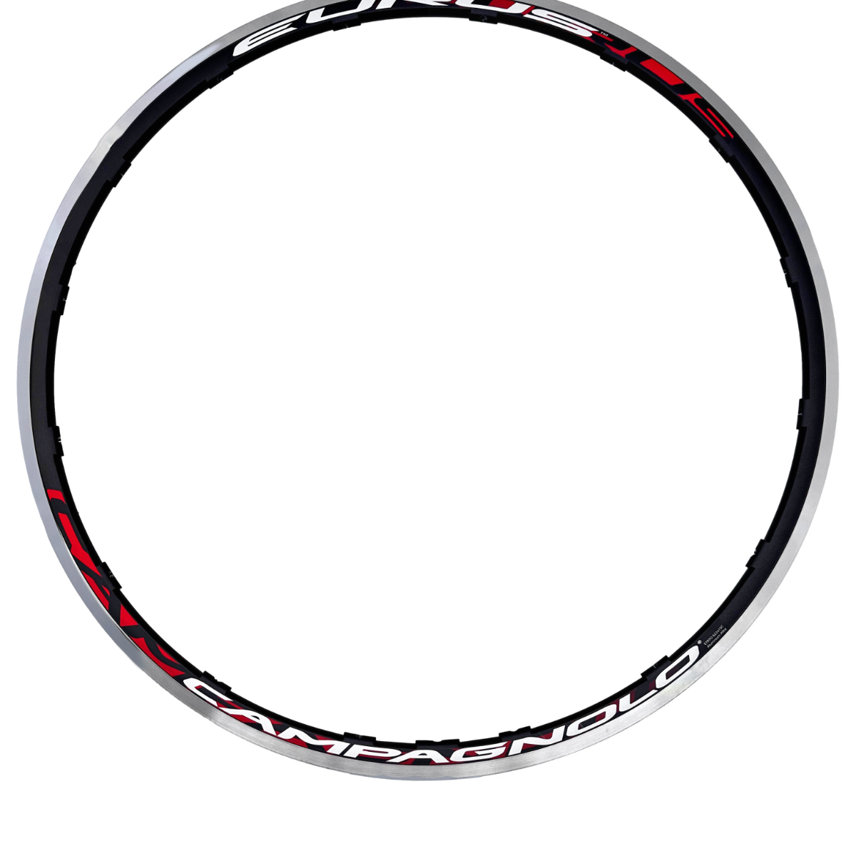 パーツ CAMPAGNOLO  - 622x15C Aluminum Alloy Campagnolo Eurus 700c Clincher Rim - 16 Spoke - 622 x 15c