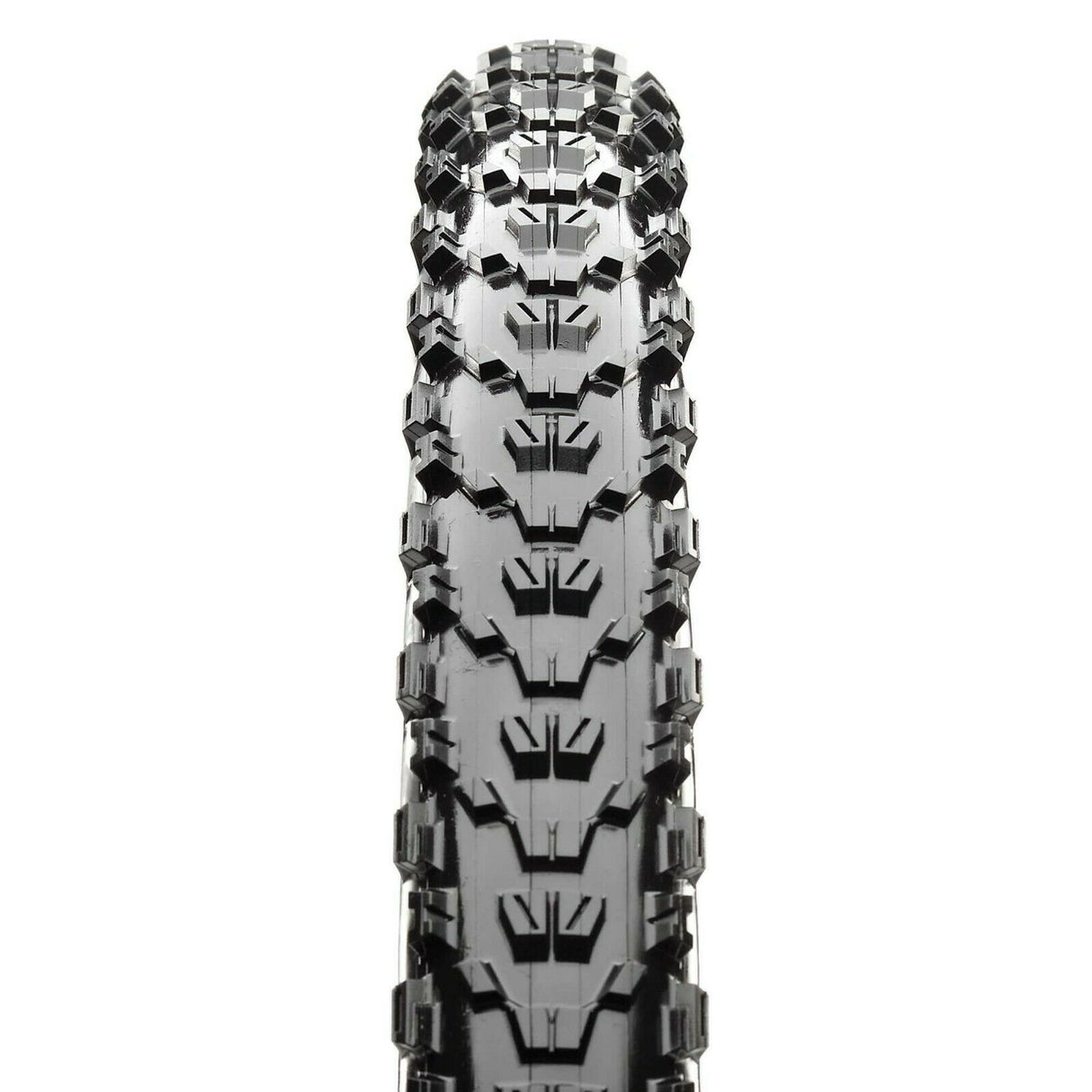 Maxxis Ardent 26" x 2.4 MTB Tyre - EXO TR - Sportandleisure.com (6968072896666)