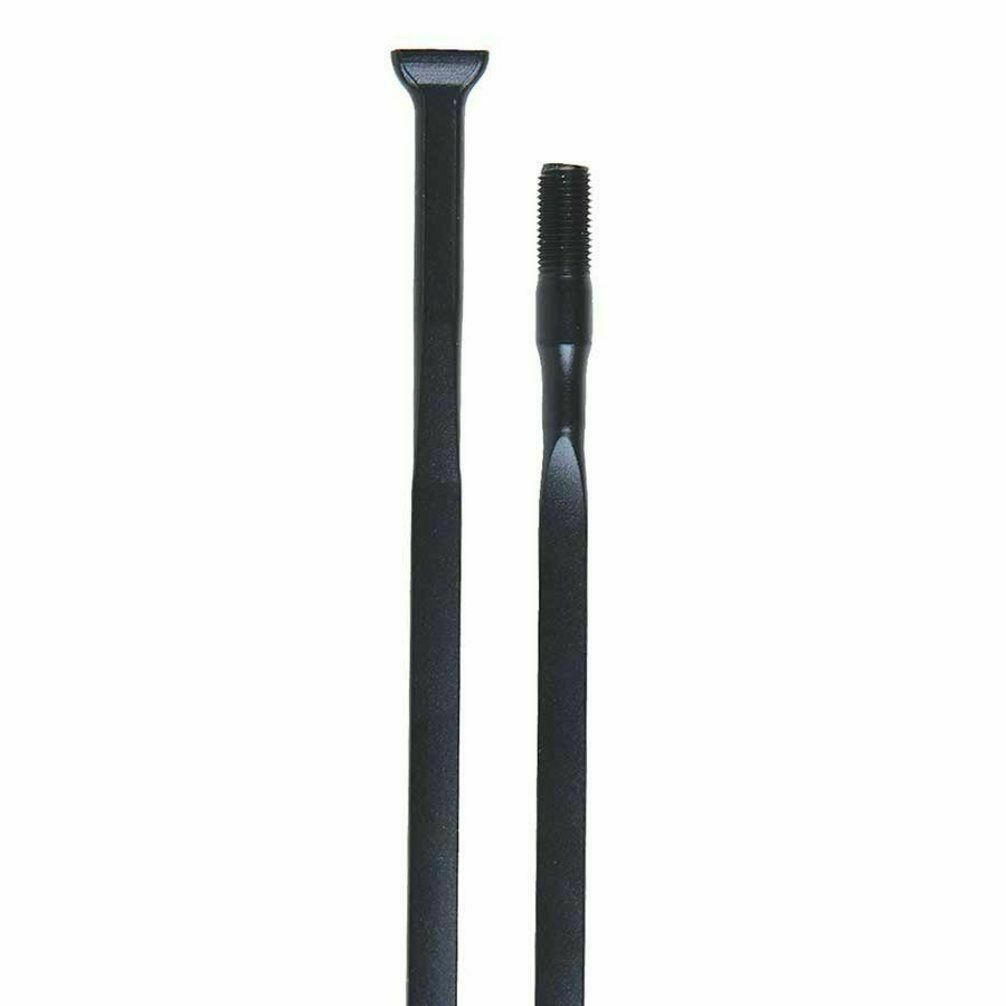 Campagnolo Eurus Replacement Spoke All Sizes WH-105SHB / WH-106SHB / WH-107SHB - Sportandleisure.com (6968159830170)