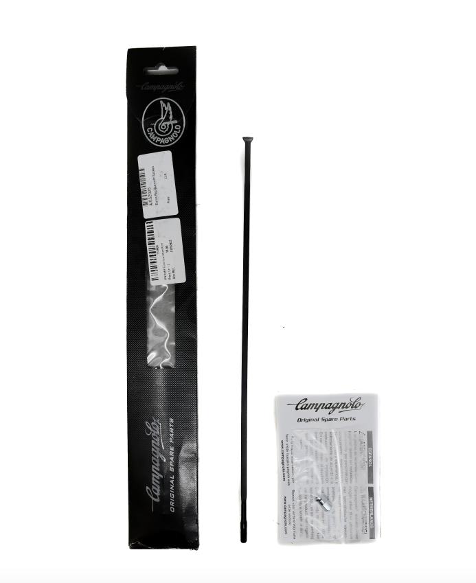 Campagnolo Eurus Replacement Spoke All Sizes WH-105SHB / WH-106SHB / WH-107SHB - Sportandleisure.com (6968159830170)