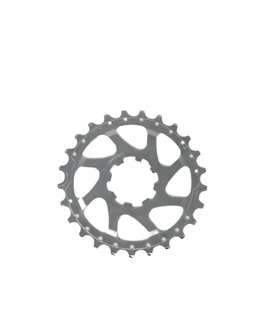 Campagnolo 10 Speed 25T Replacement Sprocket- Silver - Sportandleisure.com