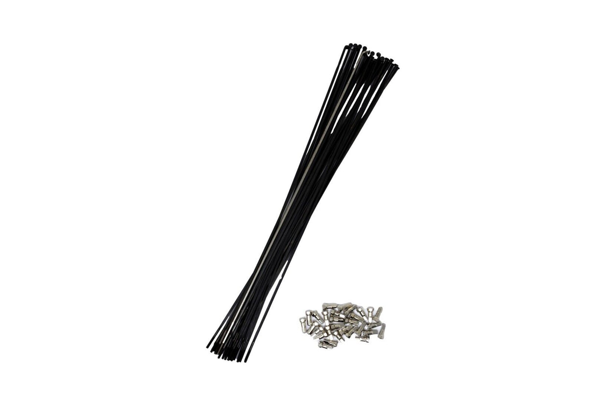 Campagnolo KIT-34SCB Spoke Kit For Scirocco Rear Wheel - 280mm - Sportandleisure.com