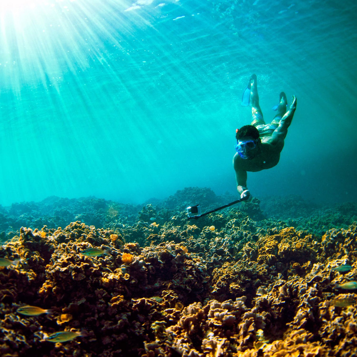 SP Gadgets POV GoPro Pole / Selfie Stick - 37" Inch / 94cm - Sportandleisure.com (7546357350657)