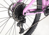 Haro Saguaro 2 Hartail MTB - SRAM NX Eagle