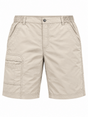 ICEPEAK Ken Mens Outdoor Shorts