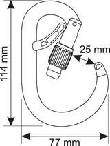 Camp Core Belay Lock Climbing Carabiner - Gunmetal