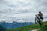 Mavic E-Deemax Limited Edition Audi E-MTB Mullet Wheel Set