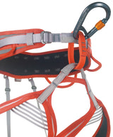 Camp Core Belay Lock Climbing Carabiner - Gunmetal