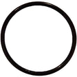 DT Swiss O-ring 23 X 1.5 mm For DT Swiss Rear Shock