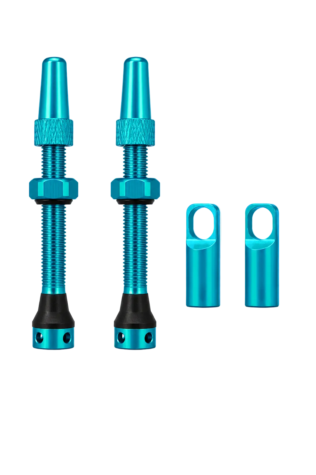 Descent HexJet Fast Fill Tubeless Valves