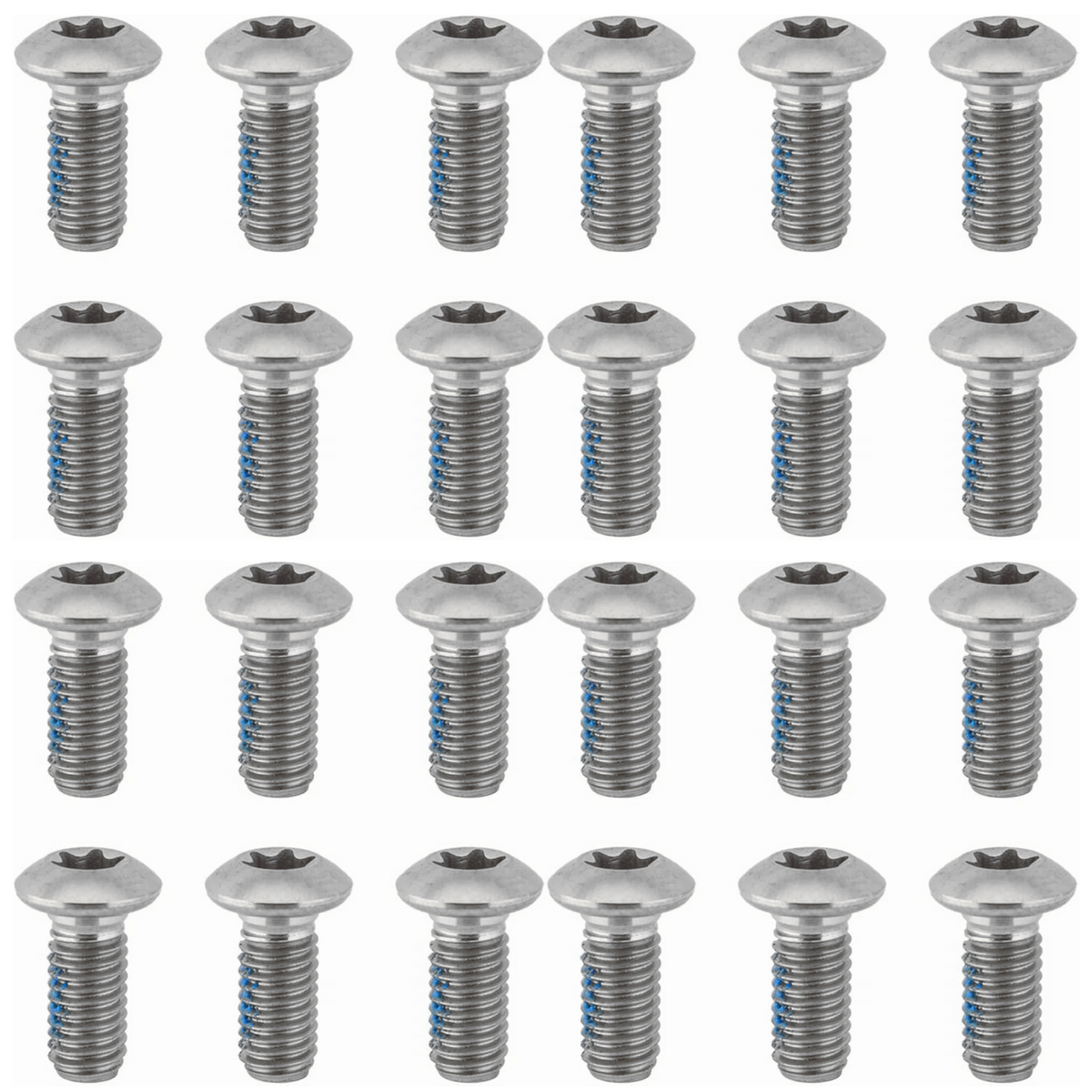 Ashima Level Rotor Torx Bolts - T25 - Sportandleisure.com