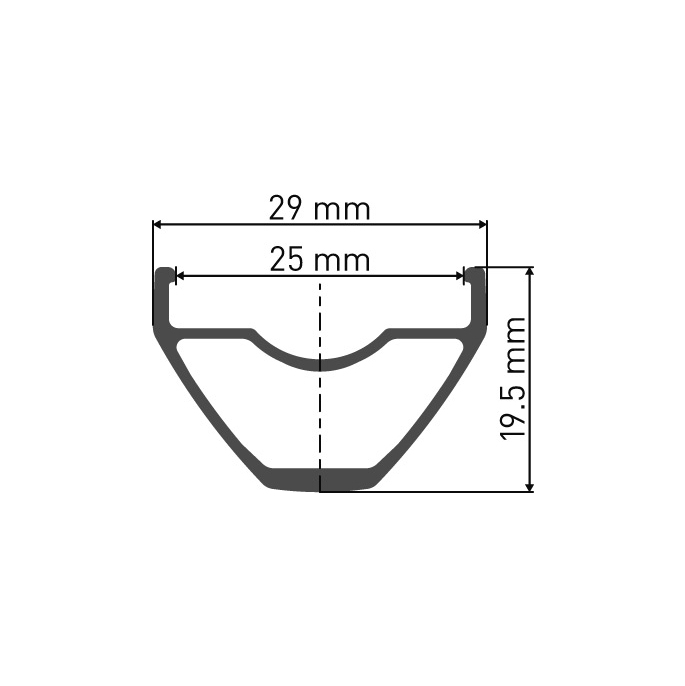 DT Swiss X 1900 Spline 29" Boost MTB Wheelset - Sport & Leisure