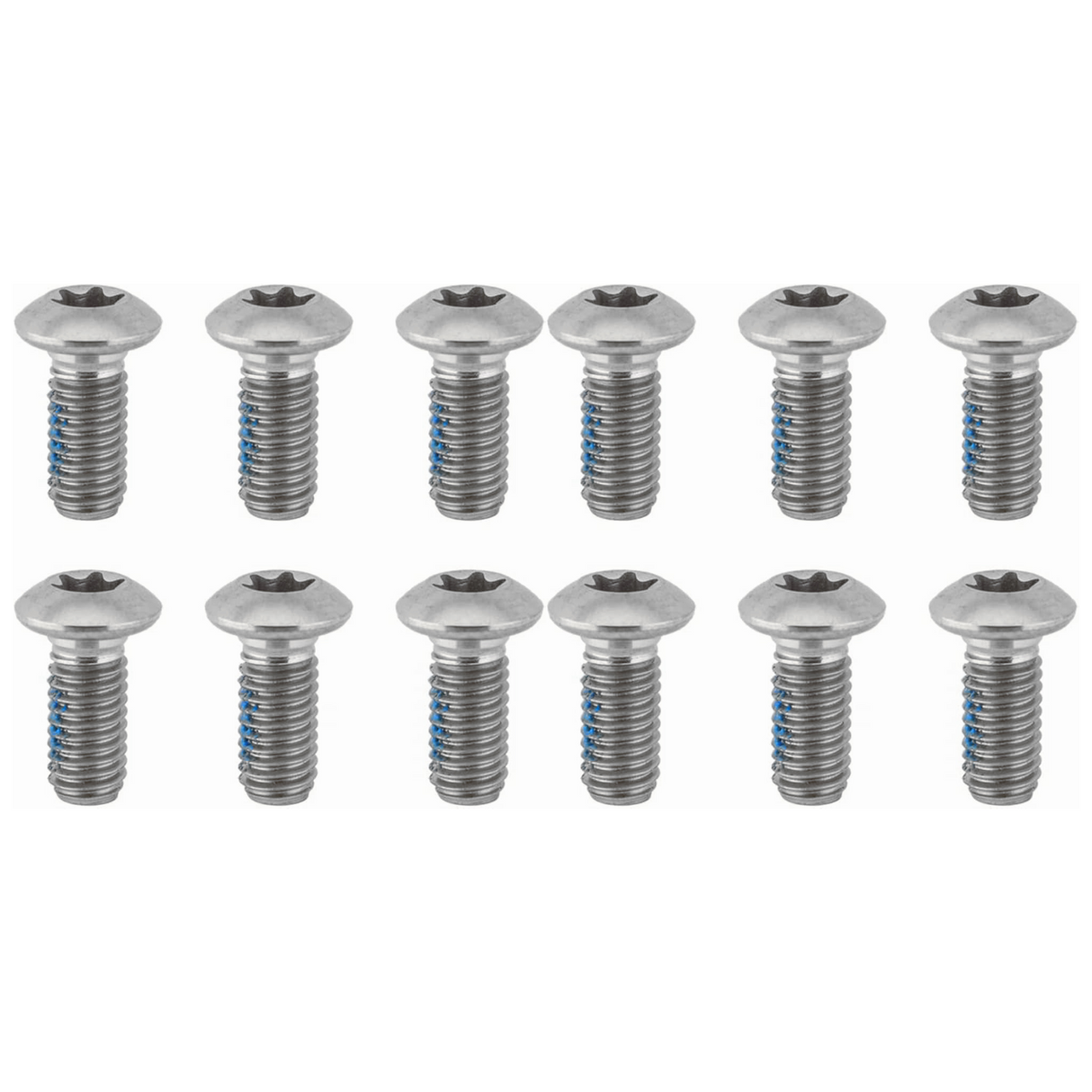 Ashima Level Rotor Torx Bolts - T25 - Sportandleisure.com