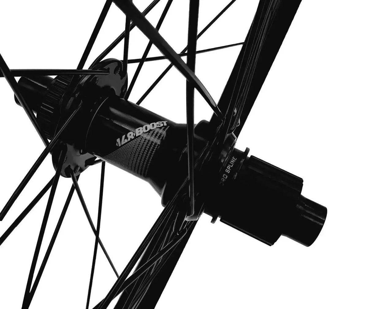Lapierre eAM+ Zesty / Overvolt Boost 29" E-MTB Rear Wheel - Sportandleisure.com
