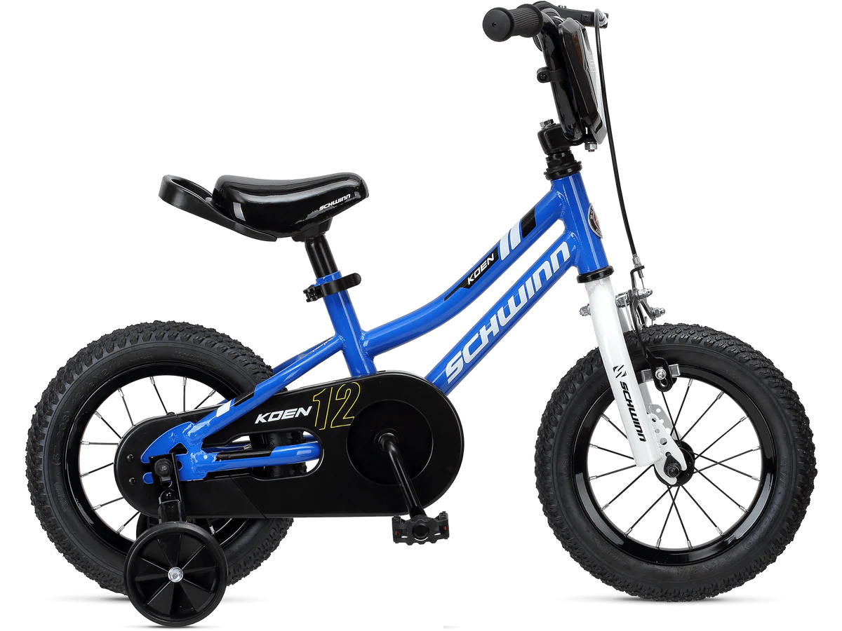 Boys schwinn bike hotsell