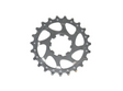 Campagnolo 10 Speed 23T Replacement Sprocket - Silver - Sportandleisure.com