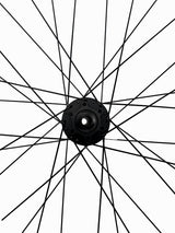 Cannondale 650B Rear Gravel Wheel - 11 Speed Bear Pawls Hub - Sportandleisure.com